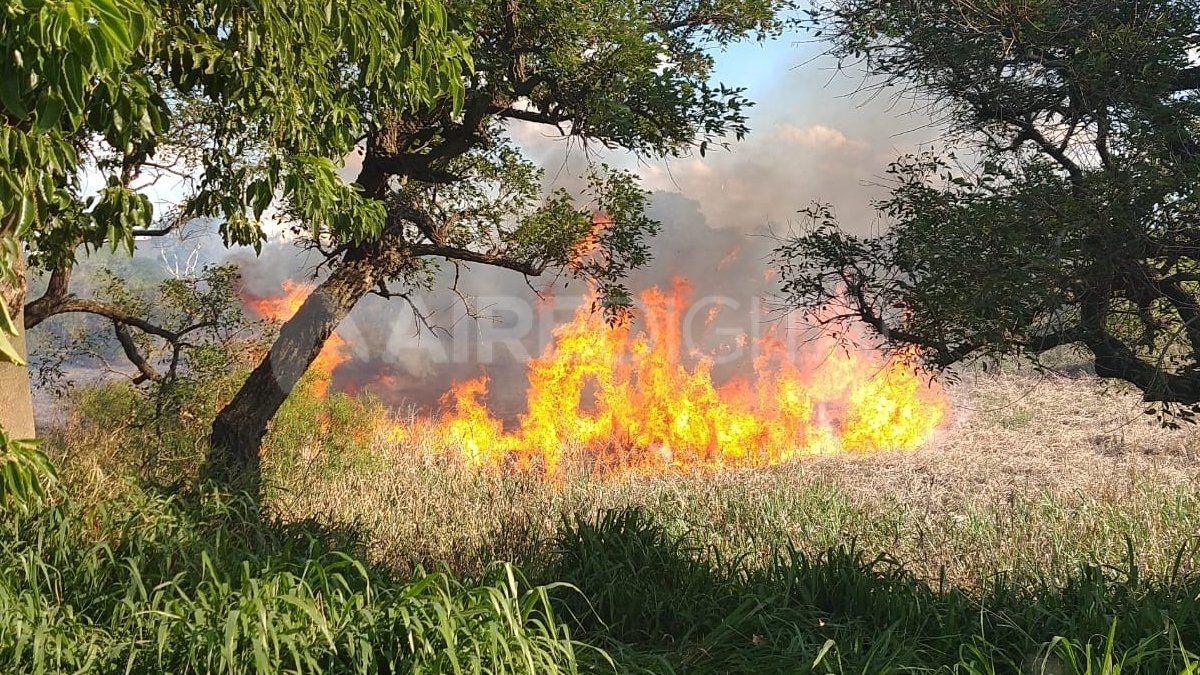 La sequía de los pastizales propagó rápidamente las llamas cerca de la ruta 168.