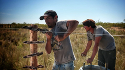 crean el programa de empleo rural para buscar y ofrecer trabajo registrado en el campo