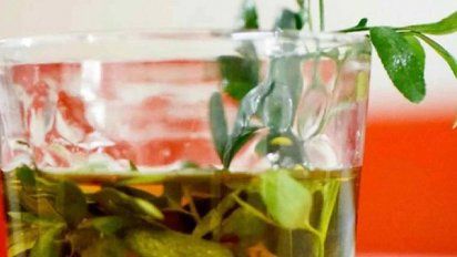 Día de la Pachamama: ofrendas, sahumados y rituales