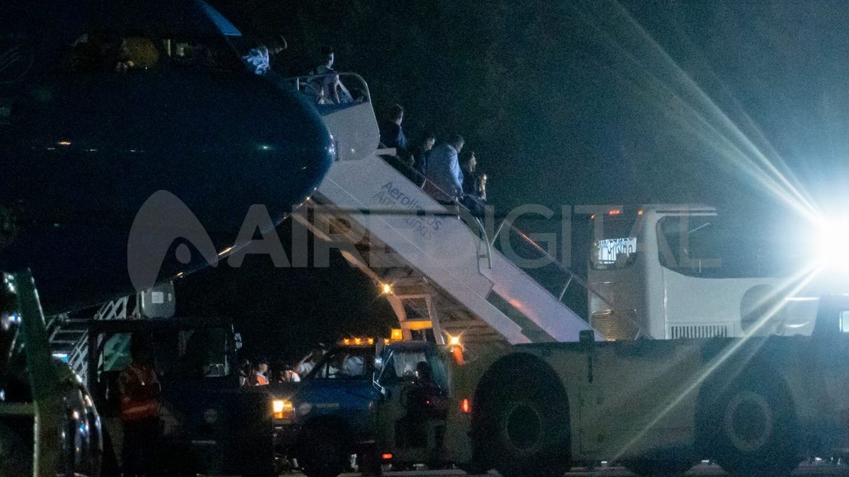 La Selección Argentina llegó al país para celebrar junto a su gente la obtención de la Copa del Mundo.