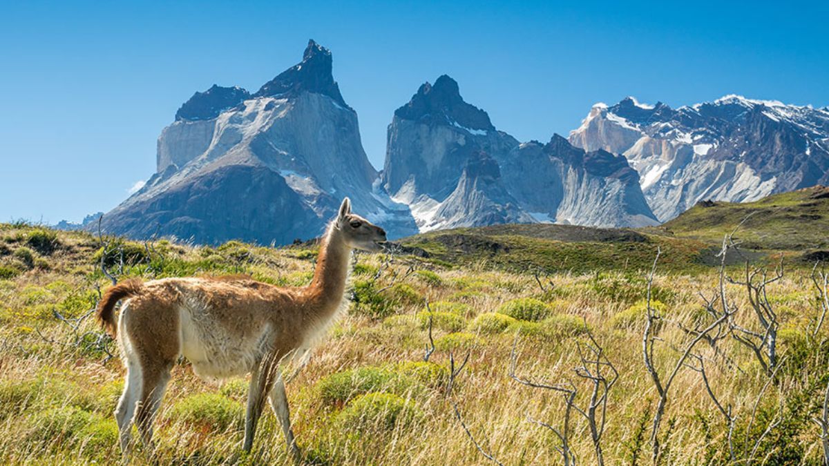 Vacaciones en Chile: 5 destinos únicos que seducen a quienes buscan algo diferente