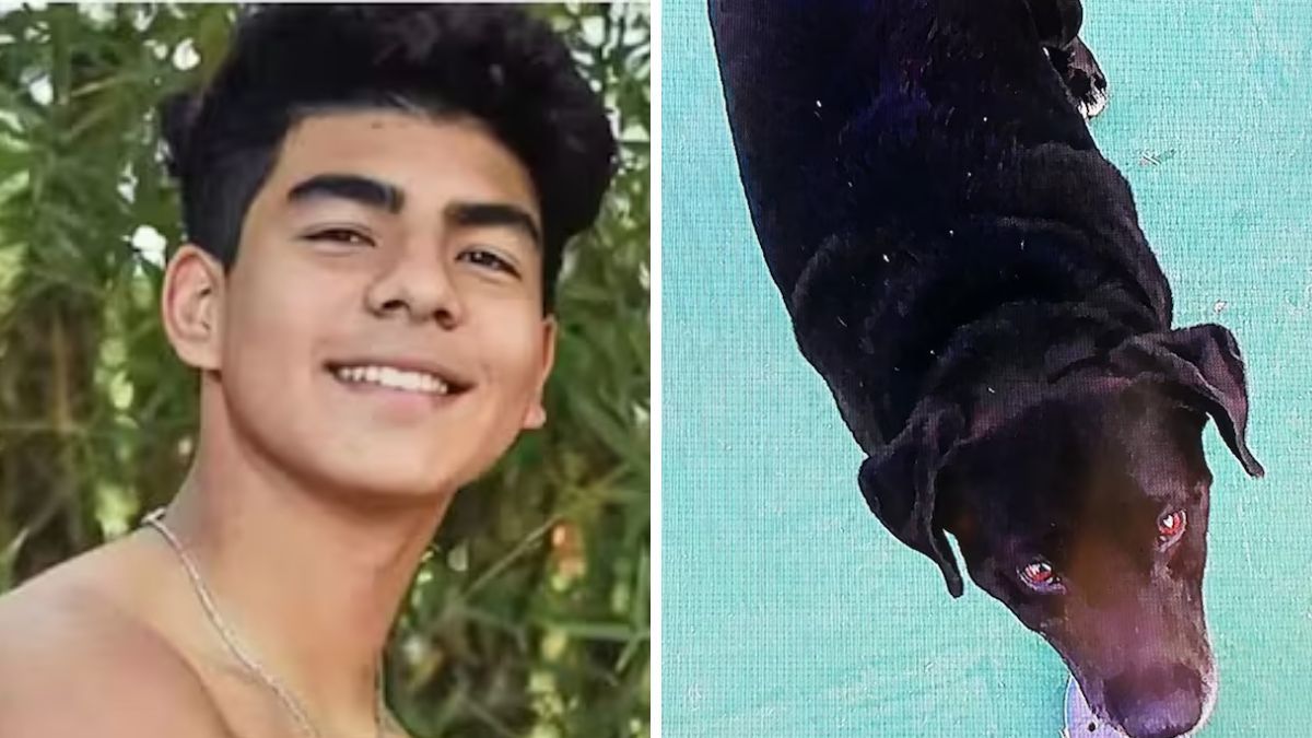 El documental sobre Fernando Báez Sosa reveló el relato inesperado de un perro callejero.