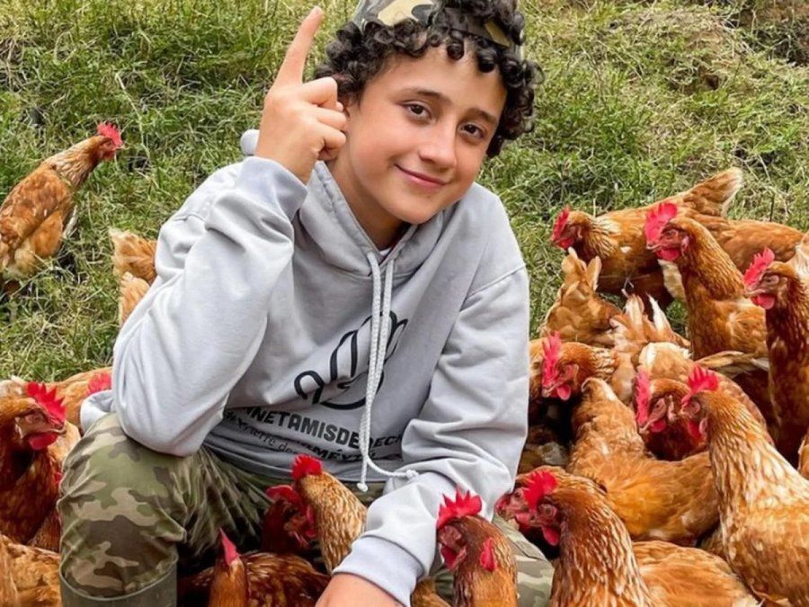 Épica respuesta de un niño granjero a una vegana que lo criticó por criar gallinas