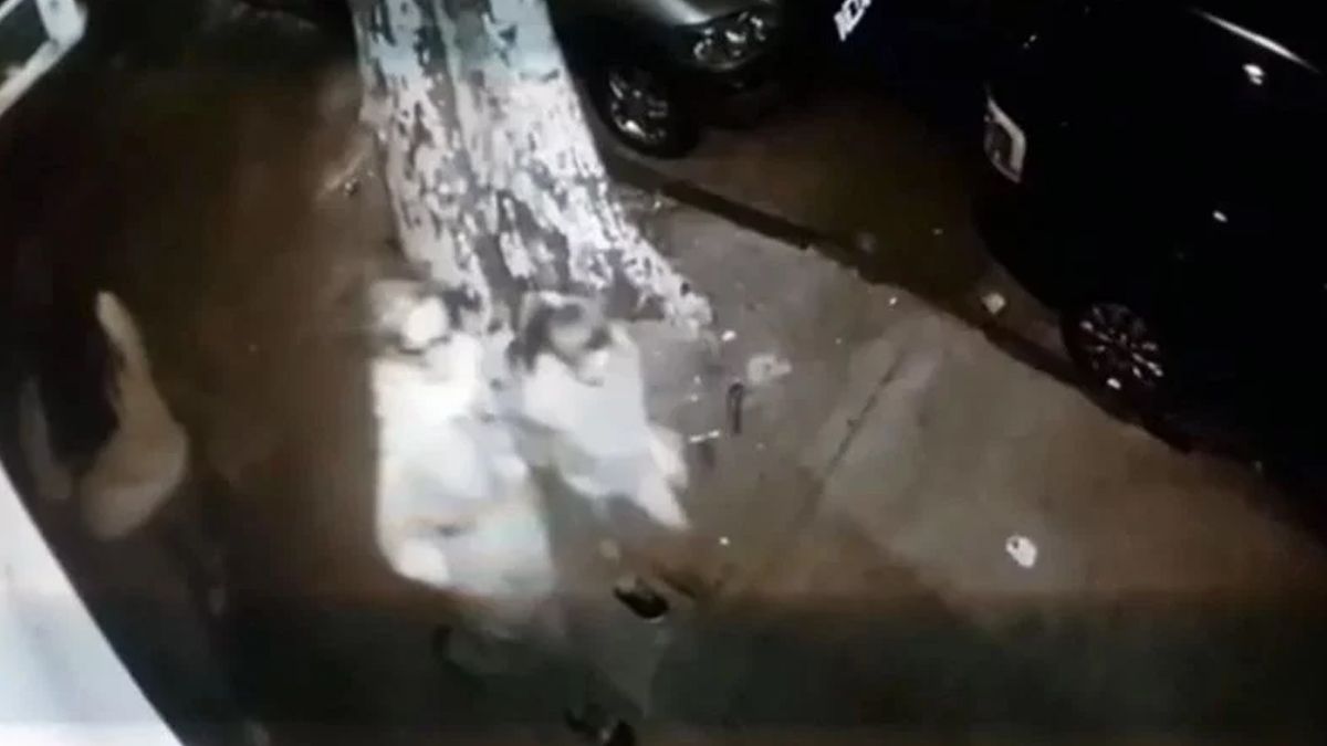 El video de una c&aacute;mara de seguridad capt&oacute; a la mujer con su hija llegando juntas a la escena del crimen.&nbsp;(Captura TN)