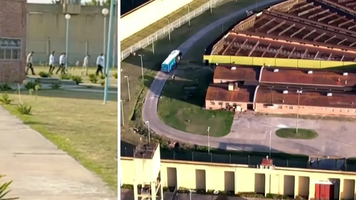 Los elementos que le secuestraron a los rugieras condenados por matar a Fernando Báez Sosa.