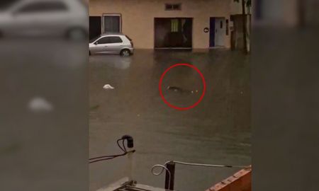 Temporal en Valentin Alsina: encontraron un cadaver flotando en la calle. Temporal en Valentin Alsina: encontraron un cadaver flotando en la calle.