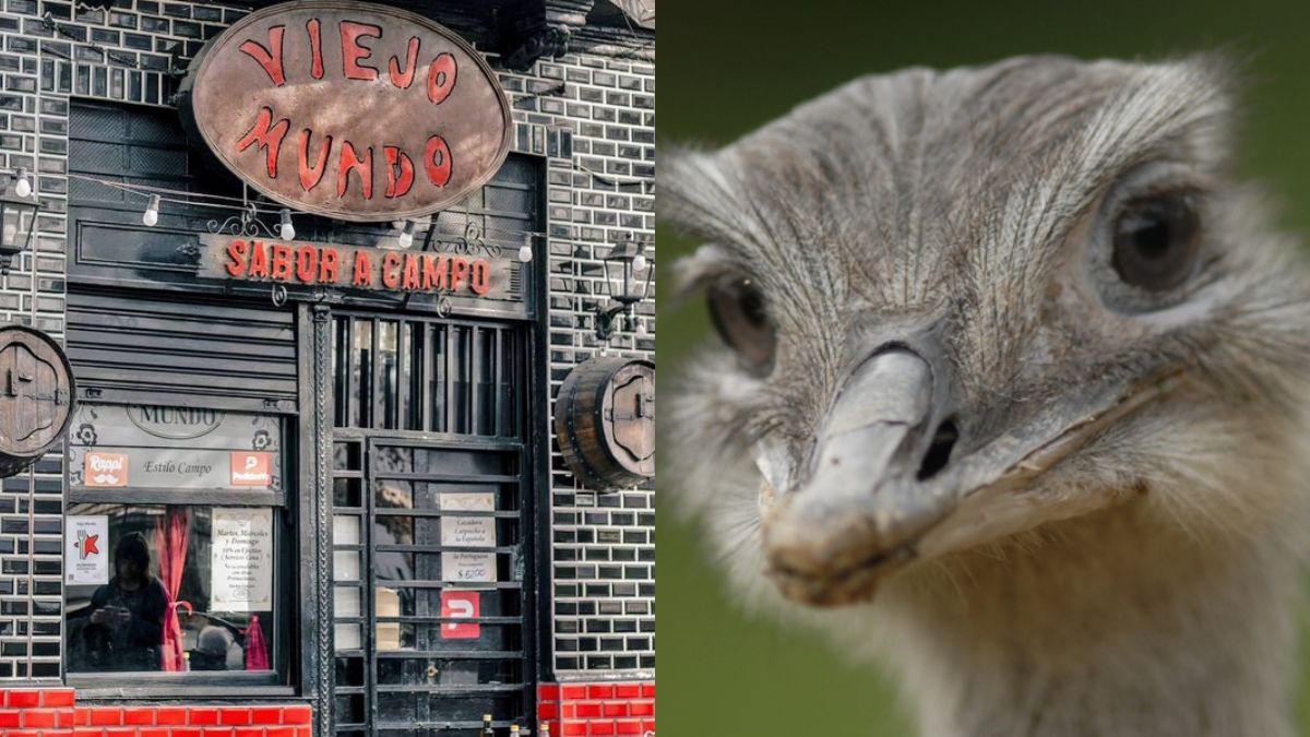 Clausuraron el restaurante Viejo Mundo Bodegón en Buenos Aires por vender carne de rana y ñandú.