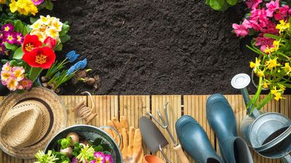 La planta que atrae colibríes y da vida a tu jardín es perfecta para plantar en septiembre