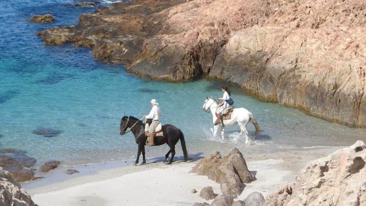 La navegación por las costas de Bahía Bustamante permite el avistaje de colonias de lobos marinos de un pelo y diversas especies de cormoranes en su hábitat natural
