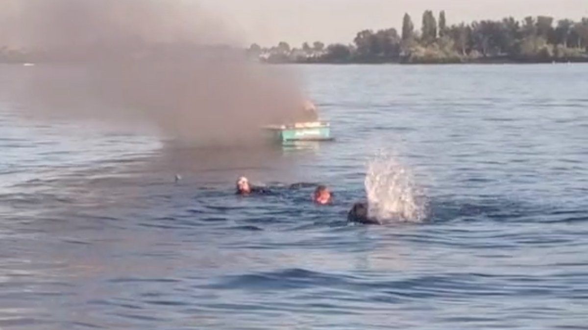 Los acosadores nadaron para que los rescaten. 