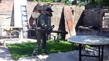 Santa Fe prevé una temporada de dengue con una cantidad de casos similar a la de 2024-2025