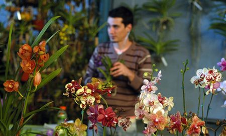 Elegir el regalo adecuado para las personas que amas puede ser un desafío, pero las plantas ofrecen una opción llena de significado y belleza. Elegir el regalo adecuado para las personas que amas puede ser un desafío, pero las plantas ofrecen una opción llena de significado y belleza.