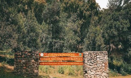 El ecosistema del Parque Nacional Los Alerces recibe abundantes lluvias anuales, lo que permite el desarrollo de una frondosa selva valdiviana.