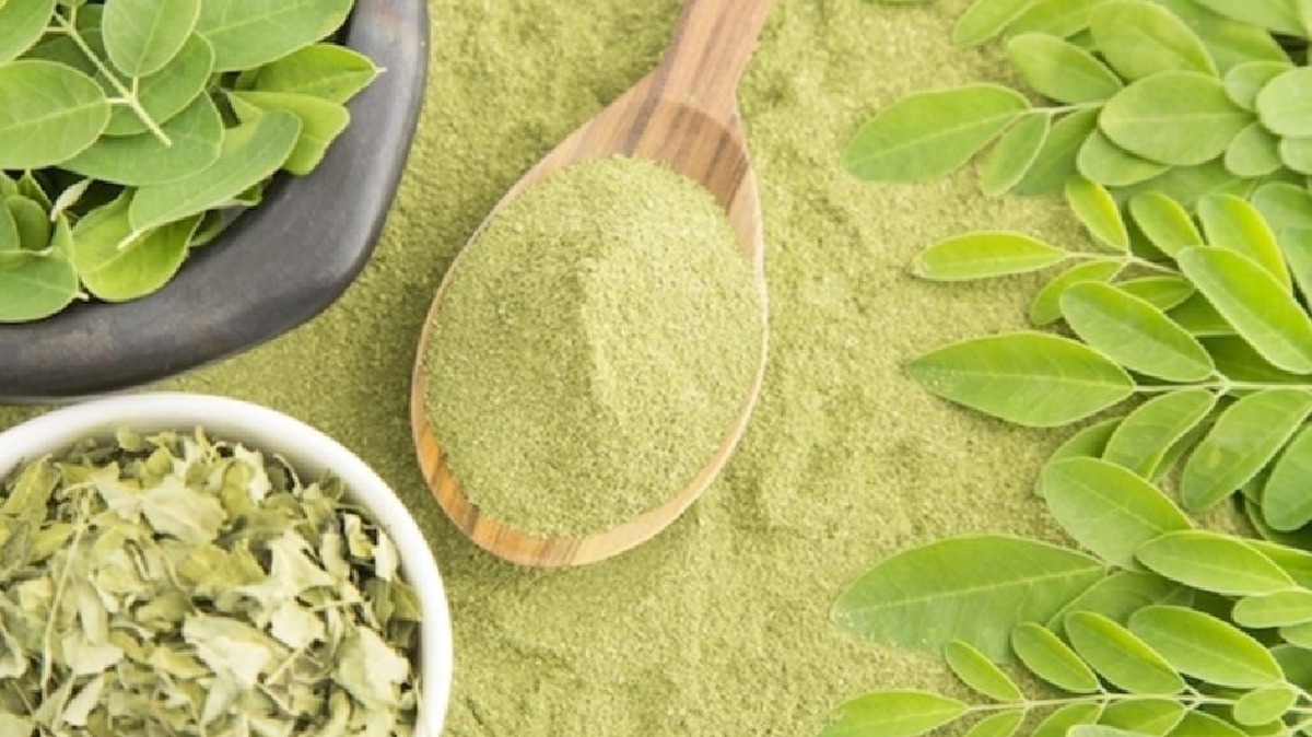 Sus propiedades antiinflamatorias, antimicrobianas, antioxidantes, cardiovasculares, y hepatoprotectoras, la hacen útil en el tratamiento de diversas enfermedades.