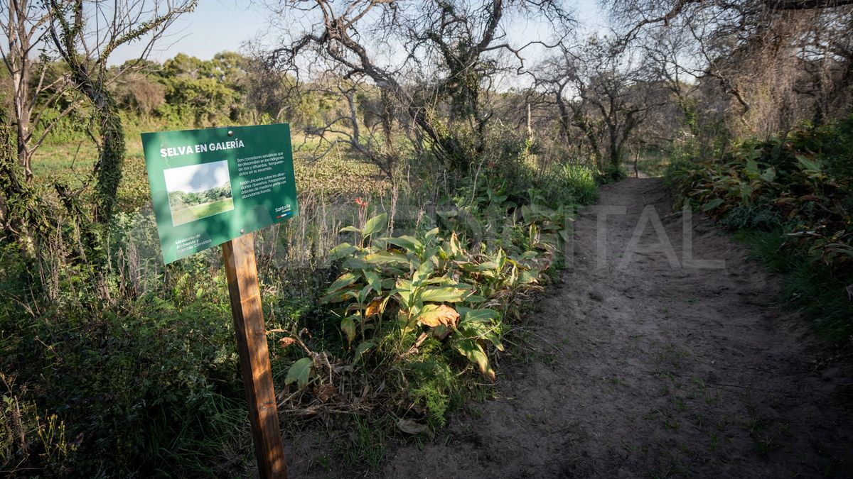 Los senderos están bien mantenidos, hay sombra y se camina con comodidad. Los senderos están bien mantenidos, hay sombra y se camina con comodidad.