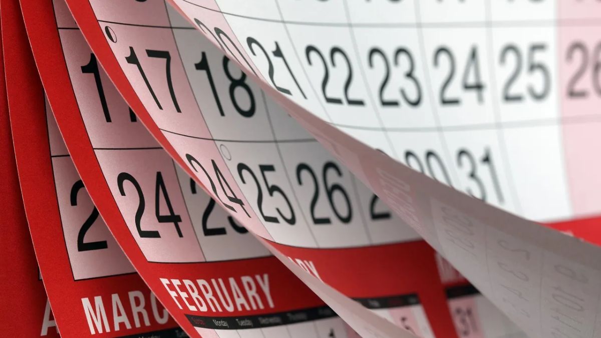 2024 viene cargado de armonía y equilibrio.