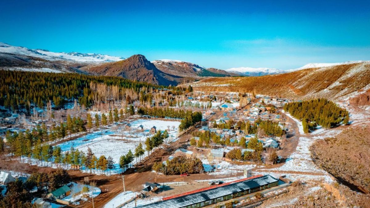 La trashumancia neuquina es una de las pocas que persiste en el mundo de forma masiva; los crianceros pueden recorrer hasta 200 kilómetros a pie junto a su ganado en cada temporada.