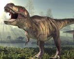 El cráneo del T-rex evolucionó para soportar presiones de mordida superiores a cualquier otro animal terrestre, reemplazando la función de agarre que tenían sus ancestros. El cráneo del T-rex evolucionó para soportar presiones de mordida superiores a cualquier otro animal terrestre, reemplazando la función de agarre que tenían sus ancestros.