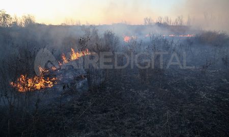 Más de doce focos de incendio de distintas intensidades se registraban este viernes en las provincias de Buenos Aires, Santa Fe y Entre Ríos sobre el delta del río Paraná. Más de doce focos de incendio de distintas intensidades se registraban este viernes en las provincias de Buenos Aires, Santa Fe y Entre Ríos sobre el delta del río Paraná.