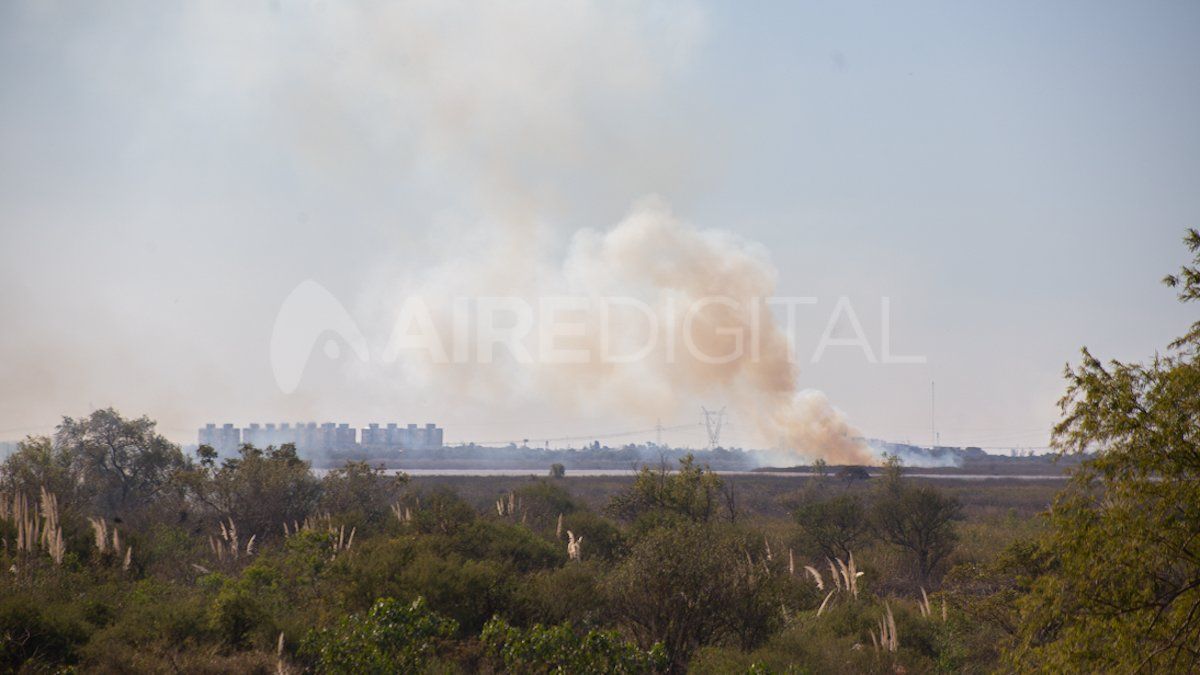 La investigaci&oacute;n instruy&oacute; a Gendarmer&iacute;a y Prefectura Naval para que act&uacute;en de oficio.&nbsp;