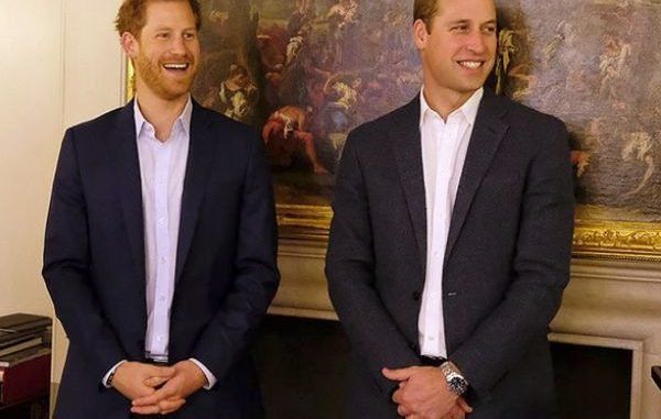 Los hijos de Lady Di ya no aparecerán juntos en público por una extraña razón