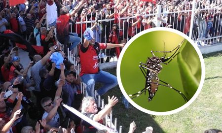 con 8.600 casos en 2019, el dengue es un riesgo para los hinchas de colon que viajaran a paraguay con 8.600 casos en 2019, el dengue es un riesgo para los hinchas de colon que viajaran a paraguay