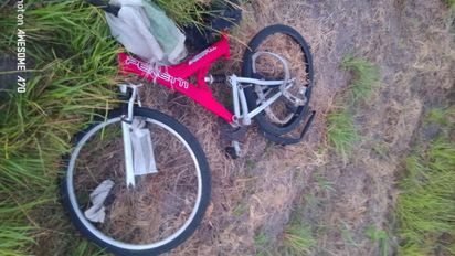 Accidente fatal en la Ruta Nacional 11: murió un ciclista en Villa Ocampo
