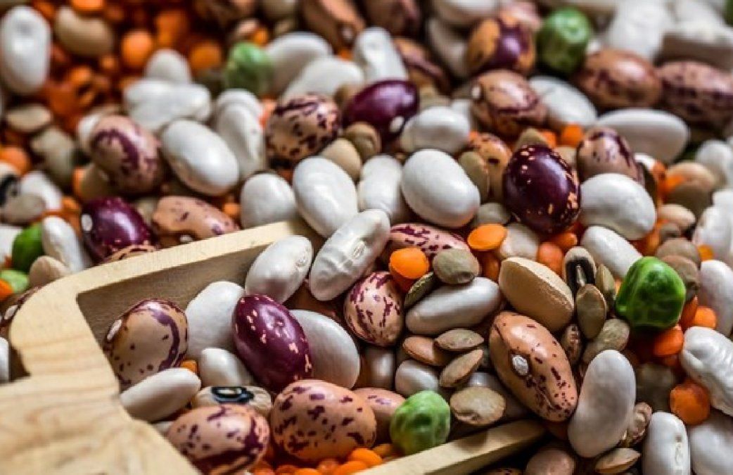 El proyecto busca integrar conocimiento y tecnología