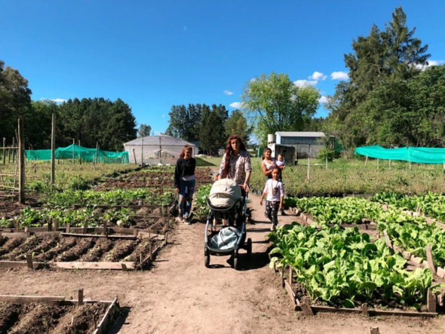 El movimiento promueve programas de escolarización, formación profesional en oficios, construcción de viviendas, centros de acogida, sitios de asistencia sanitaria, huertas en tierra e hidropónicas, desarrollos sustentables y urbanizaciones comunitarias.
