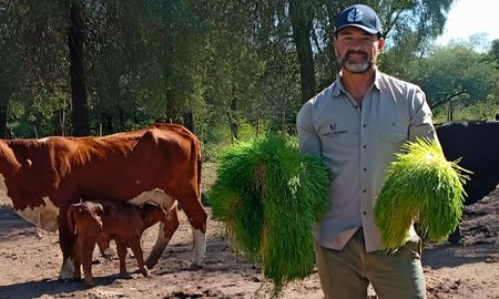 hidroponia forrajera en chaco: una fabrica de pasto todo el ano sin depender del clima hidroponia forrajera en chaco: una fabrica de pasto todo el ano sin depender del clima