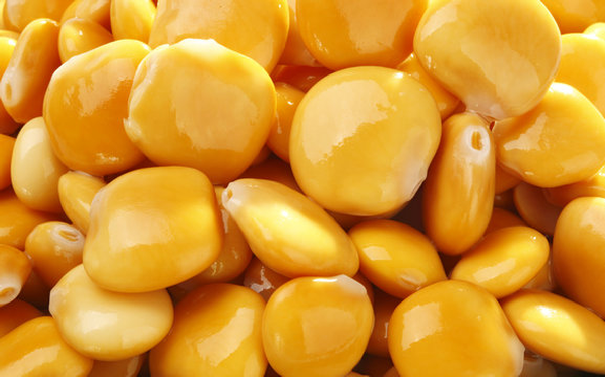 Cómo hacer lupines en salmuera: la receta clásica con pocos ingredientes