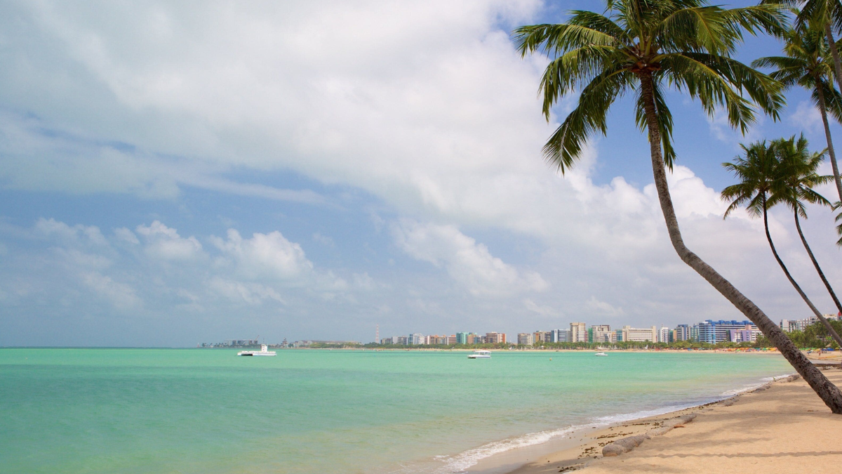Se podrá viajar a Maceió desde el 2 de enero hasta fines de febrero directo desde Rosario. Se podrá viajar a Maceió desde el 2 de enero hasta fines de febrero directo desde Rosario.