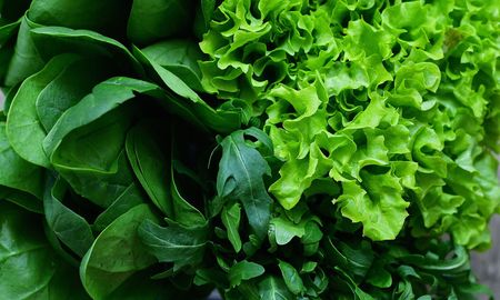 Esta receta es una manera fácil y rápida de obtener una dosis de vitamina K y otros nutrientes importantes. Esta receta es una manera fácil y rápida de obtener una dosis de vitamina K y otros nutrientes importantes.