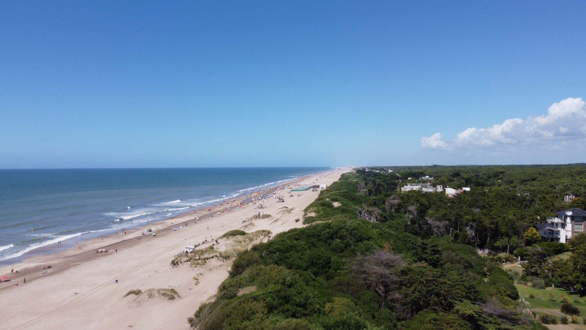 La normativa ambiental de Mar de las Pampas limita las alturas de edificación y protege el bosque de pinos y acacias que rodea al poblado.