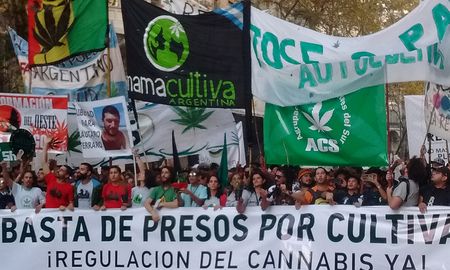 La semana del cannabis tendrá su cierre el próximo sábado, 21 de noviembre, cuando se realice en diferentes ciudades del país la Marcha Nacional de la Marihuana. La semana del cannabis tendrá su cierre el próximo sábado, 21 de noviembre, cuando se realice en diferentes ciudades del país la Marcha Nacional de la Marihuana.