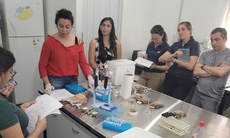 inta rafaela: laboratorios de argentina y brasil estandarizan pruebas de resistencia a acaricidas inta rafaela: laboratorios de argentina y brasil estandarizan pruebas de resistencia a acaricidas