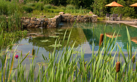 Piscinas ecológicas para tu casa: sin cloros ni productos químicos Piscinas ecológicas para tu casa: sin cloros ni productos químicos