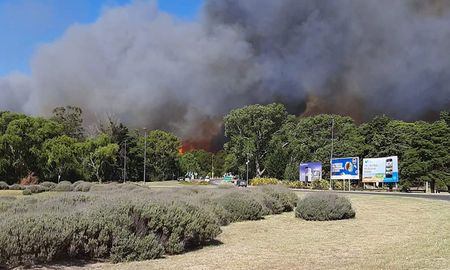 se desato un incendio en el bosque de villa gesell y los vecinos abandonan la zona se desato un incendio en el bosque de villa gesell y los vecinos abandonan la zona