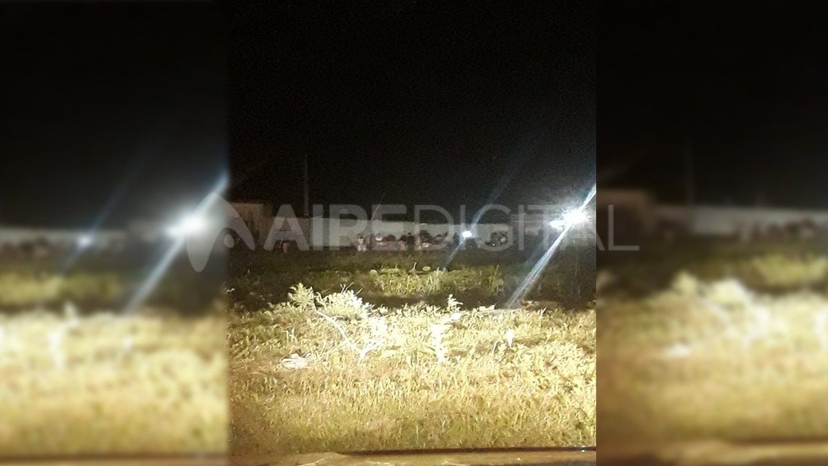 El MPA investiga el intento de usurpación de terrenos en barrio San Agustín