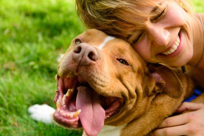 7 razones por las que tu perro te hace mejor persona