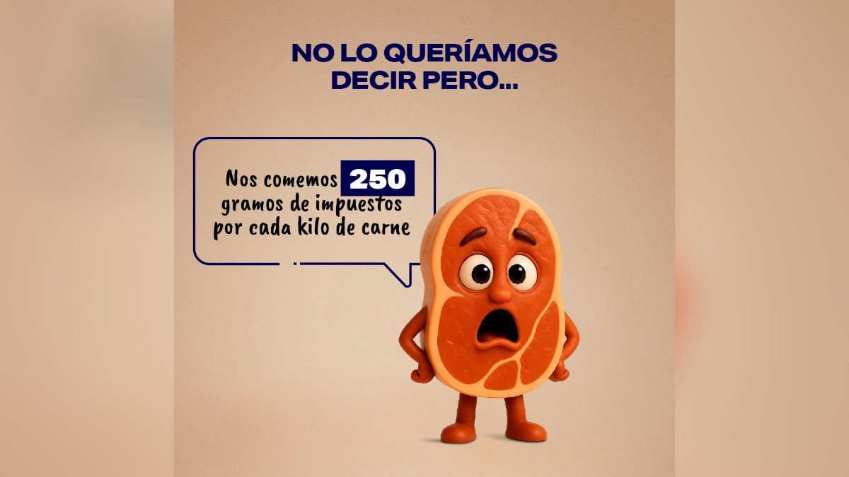 En la carne, la proporci&oacute;n de impuestos es del 25%, y solo el 15% corresponde a la ganancia del productor.&nbsp;