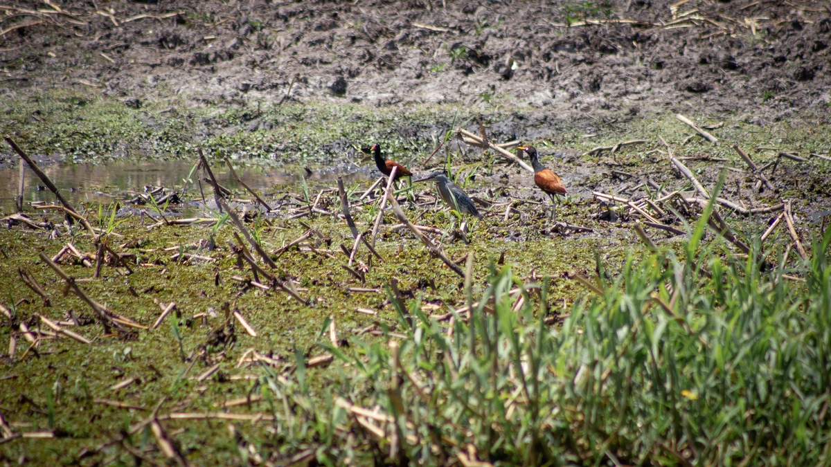 Parque Nacional Islas de Santa Fe