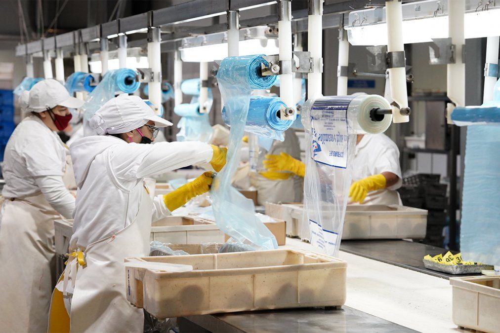 Un hombreo entro a robar a una procesadora de pescados