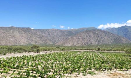 firman acuerdo para potenciar la vitivinicultura tucumana firman acuerdo para potenciar la vitivinicultura tucumana