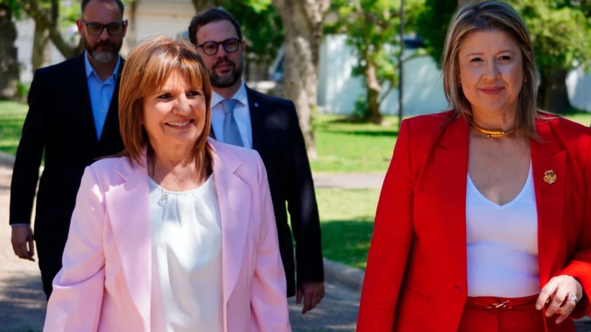 Patricia Bullrich renunció como ministra de Seguridad.