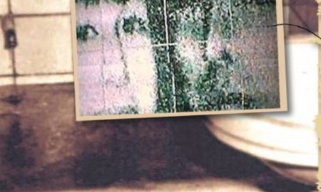 Tras una denuncia de los vecinos, encontraron a las primas muertas en una bañera. Tras una denuncia de los vecinos, encontraron a las primas muertas en una bañera.