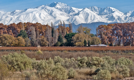 Mendoza fue uno de los destinos más elegidos. Mendoza fue uno de los destinos más elegidos.