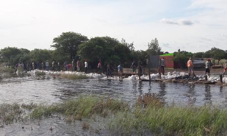 La Comisión Provincial de Emergencia Agropecuaria se reunió este miércoles y resolvió, por unanimidad, sugerir al gobernador Maximiliano Pullaro la declaración de emergencia y/o desastre agropecuario para una extensa franja del norte provincial. La Comisión Provincial de Emergencia Agropecuaria se reunió este miércoles y resolvió, por unanimidad, sugerir al gobernador Maximiliano Pullaro la declaración de emergencia y/o desastre agropecuario para una extensa franja del norte provincial.