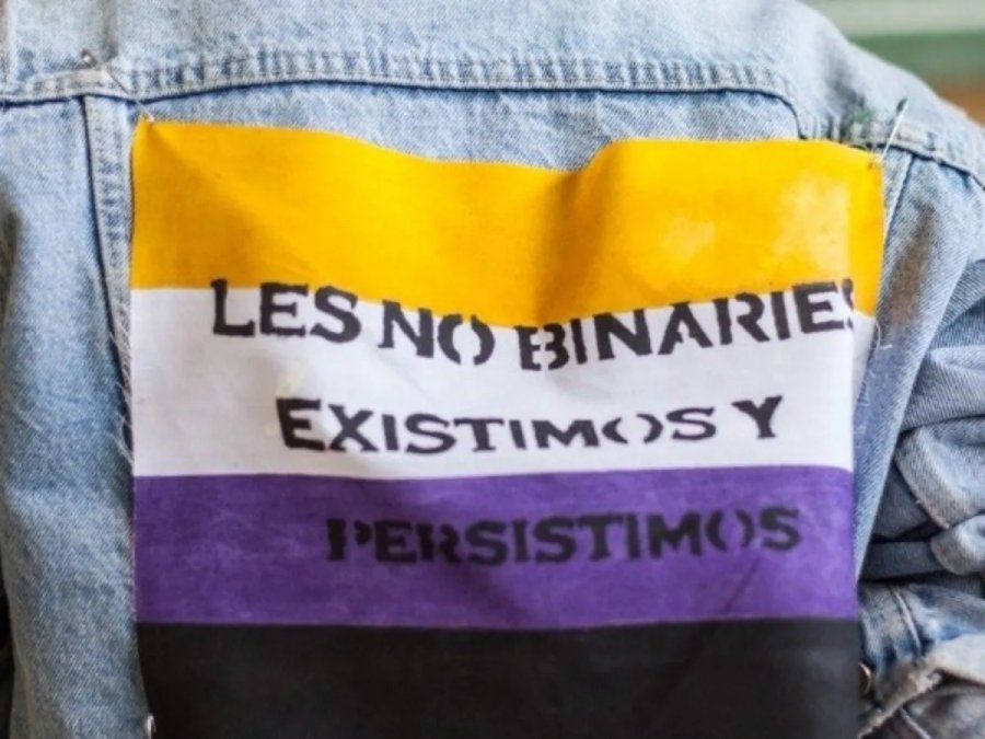 Según el decreto, la nomenclatura “X” en el campo ´sexo´ comprenderá las siguientes acepciones: no binaria, indeterminada, no especificada, indefinida, no informada, autopercibida, no consignada; u otra acepción con la que pudiera identificarse la persona que no se sienta comprendida en el binomio masculino/femenino.