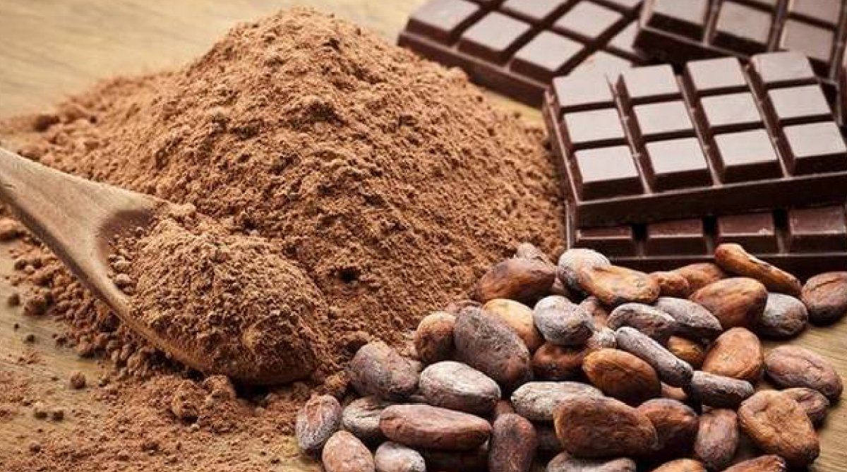 Chocolate y cacao: cómo y cuánto